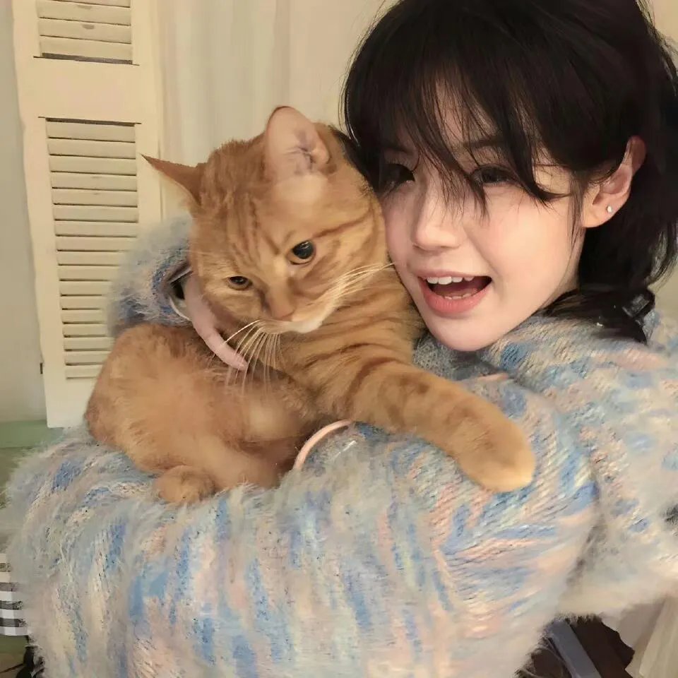 蜡笔小新:呼风唤雨!夕阳下的春日部男孩